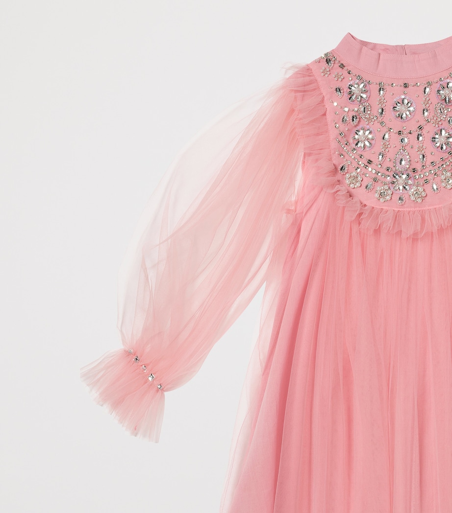 Tutu Du Monde Embellished Tumon Almas Dress (12-14 Years) Peach Blush Image 3