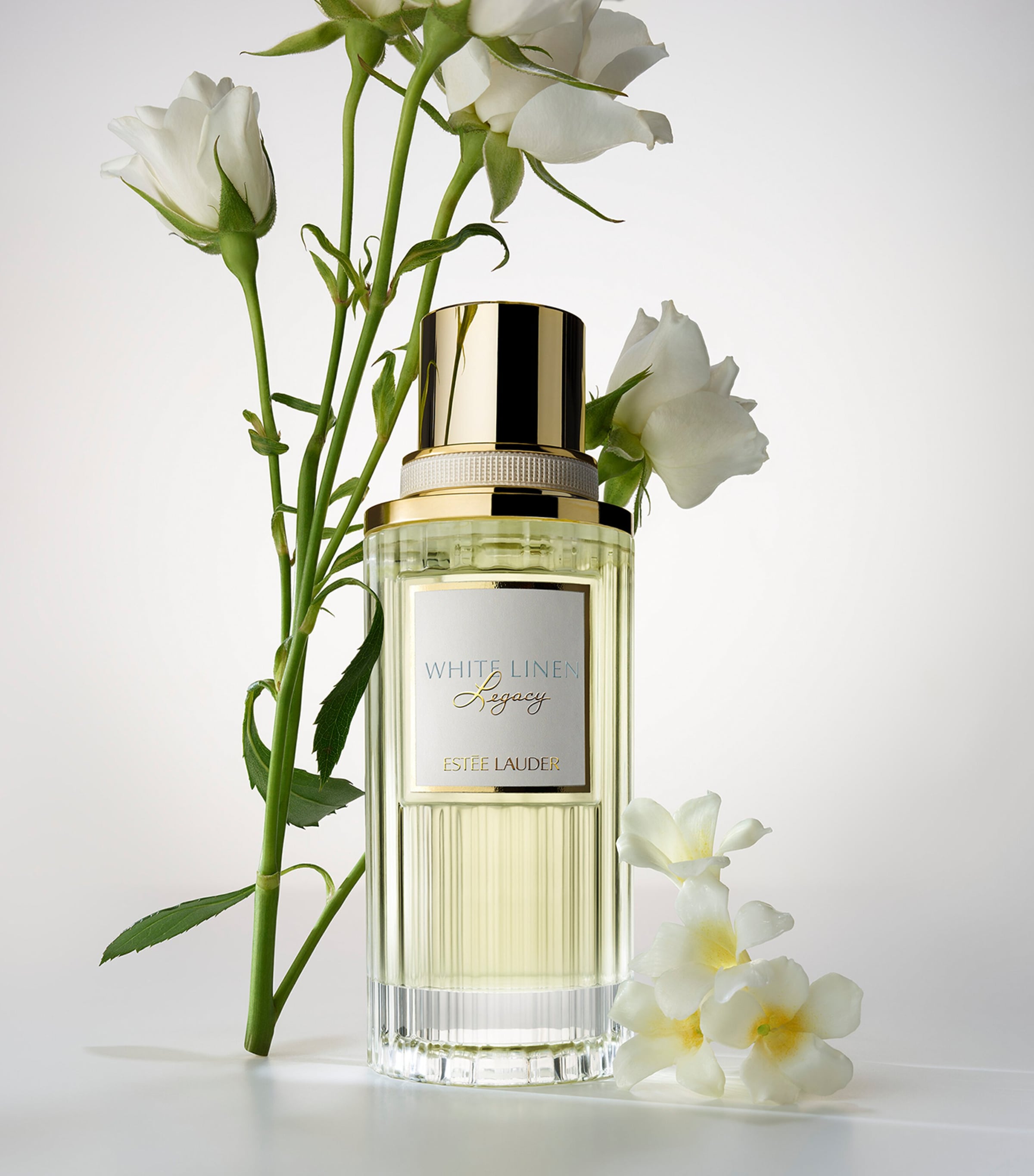 White Linen Legacy Eau de Parfum (100ml) NO COLOUR Image 2