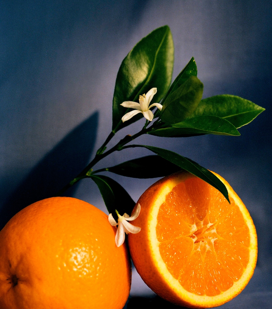 Large Orange Blossom Candle (4.85kg) NO COLOUR Image 3