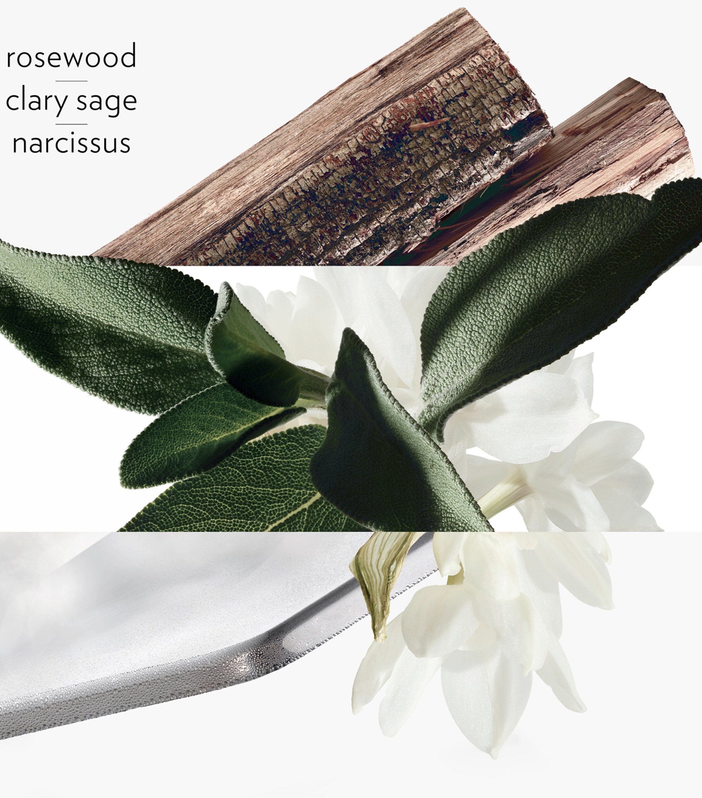 H24 Eau de Toilette (100ml) NO COLOUR Image 4