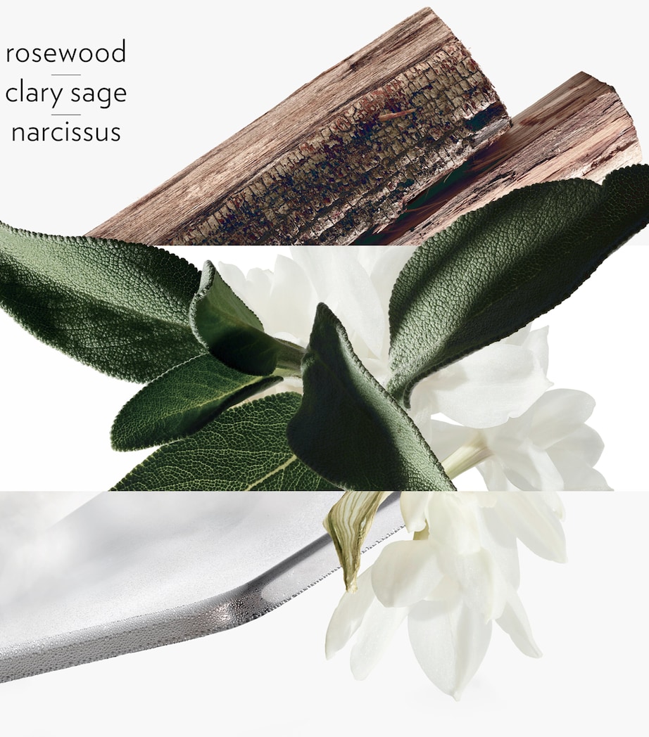 H24 Eau de Toilette (100ml) NO COLOUR Image 4