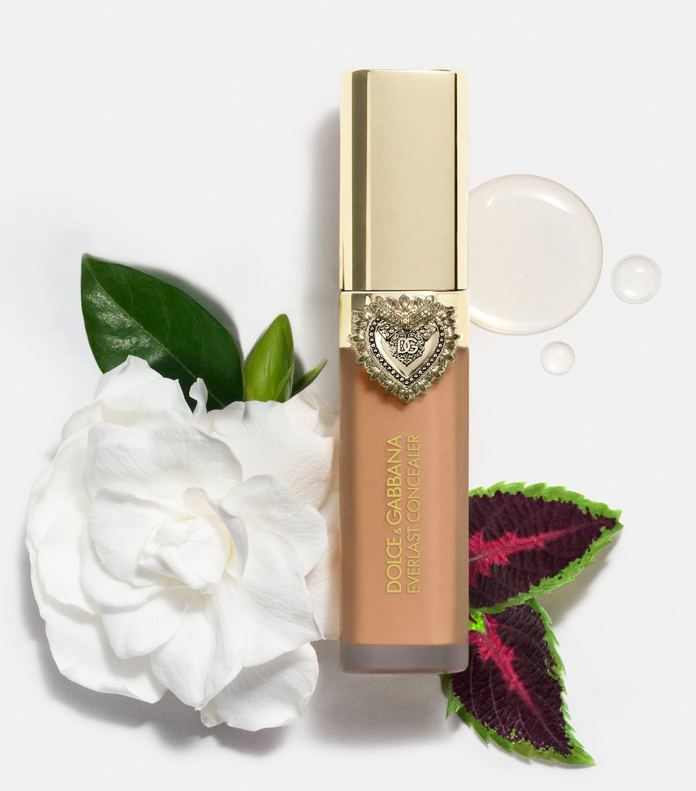 Everlast Concealer 06LIGHT Image 7