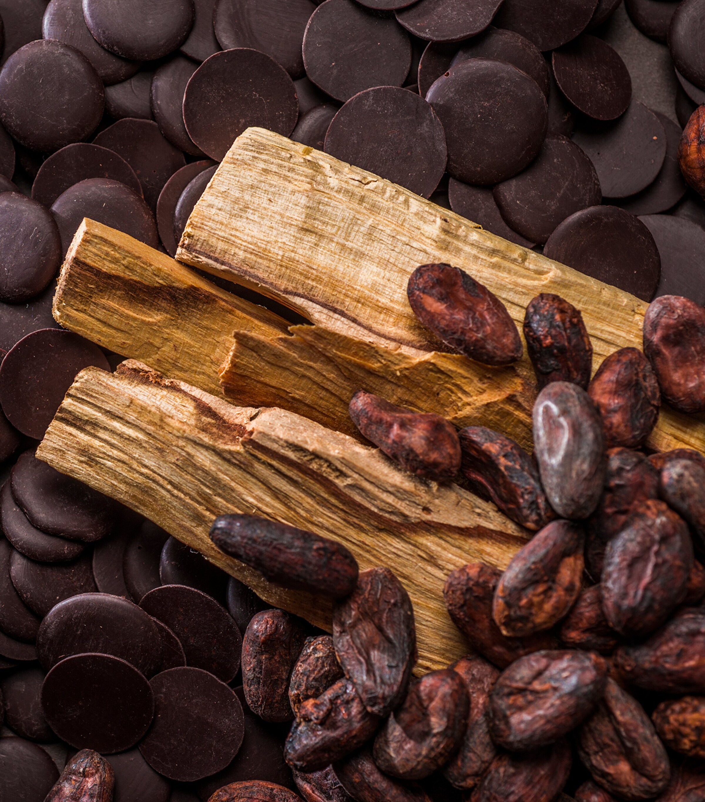 To'ak Palo Santo Cask-Aged Harvest 2019 Ecuadorian Dark Chocolate Bar (50g) Image 3