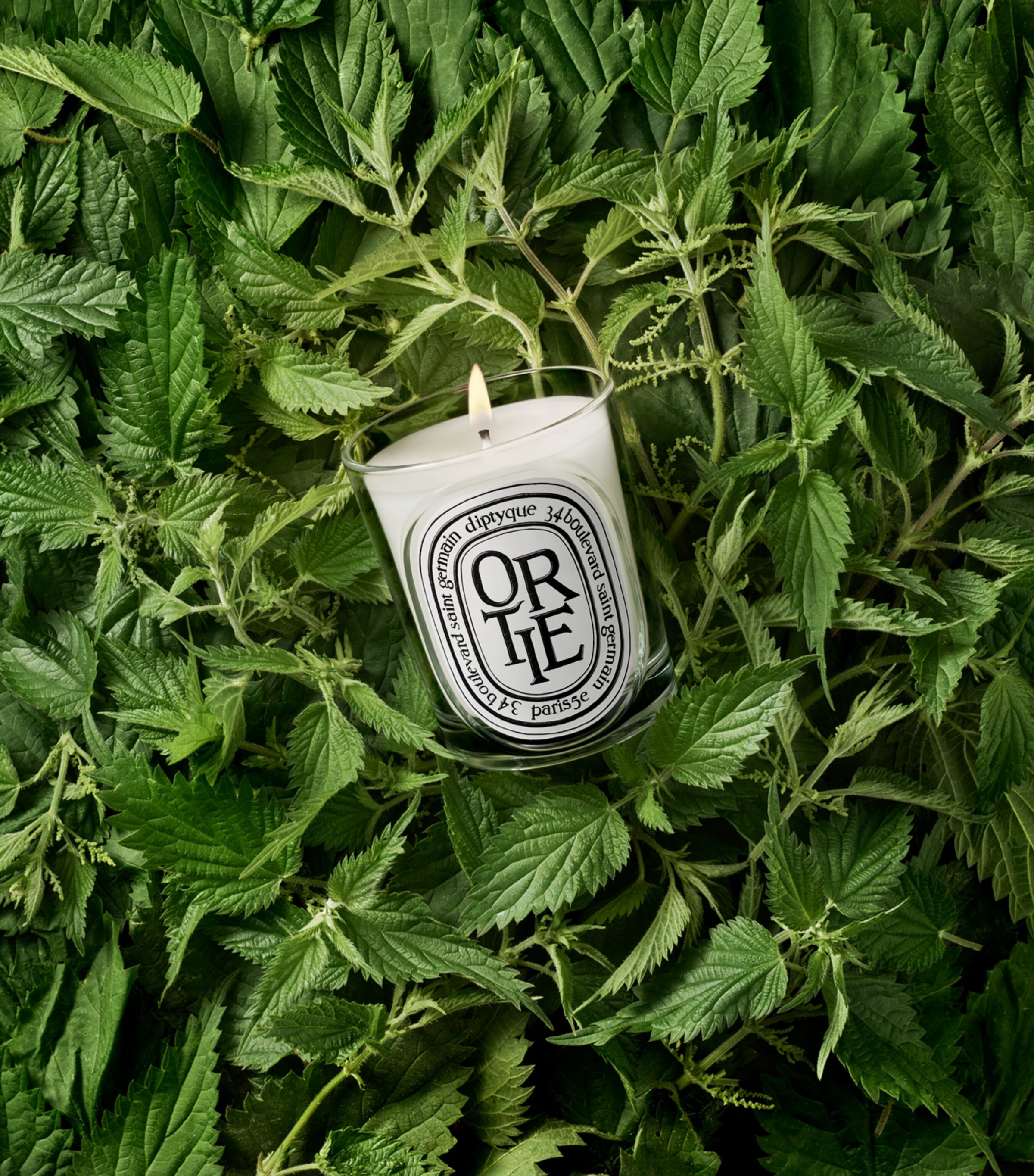 Diptyque Ortie Candle (190g) Image 3
