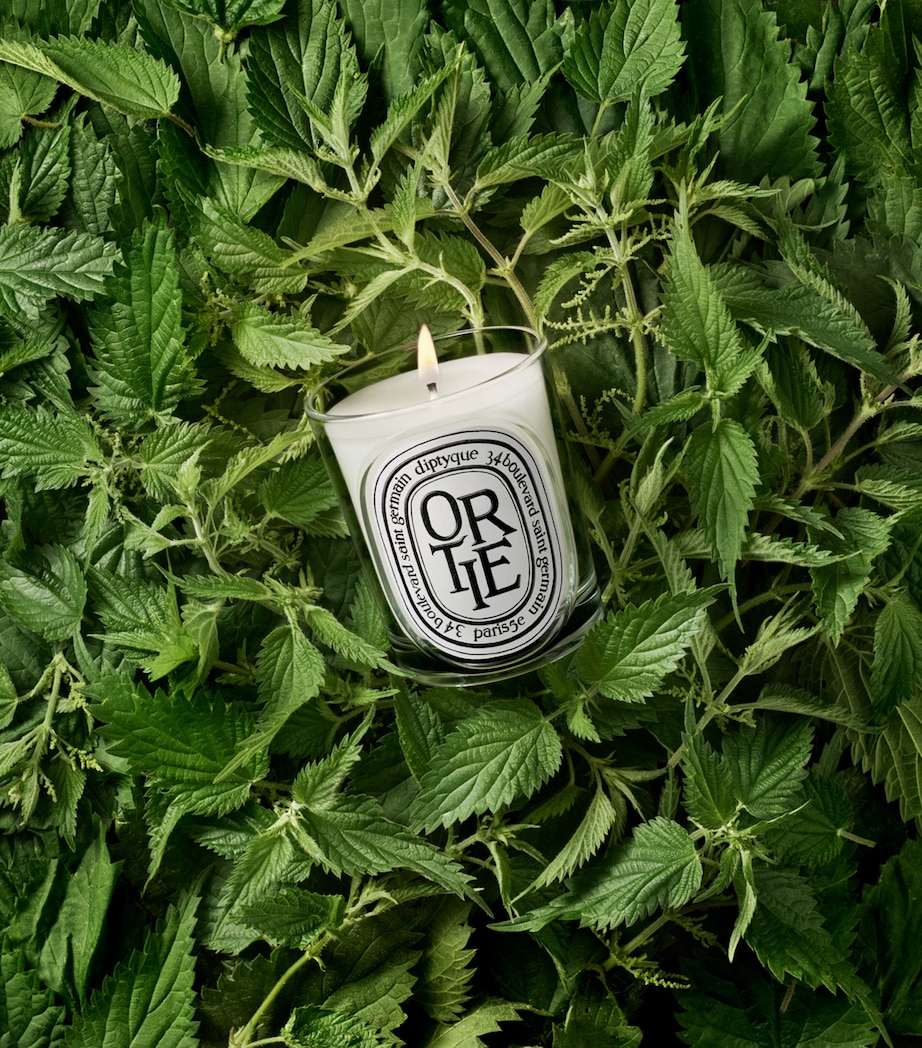 Diptyque Ortie Candle (190g) Image 3