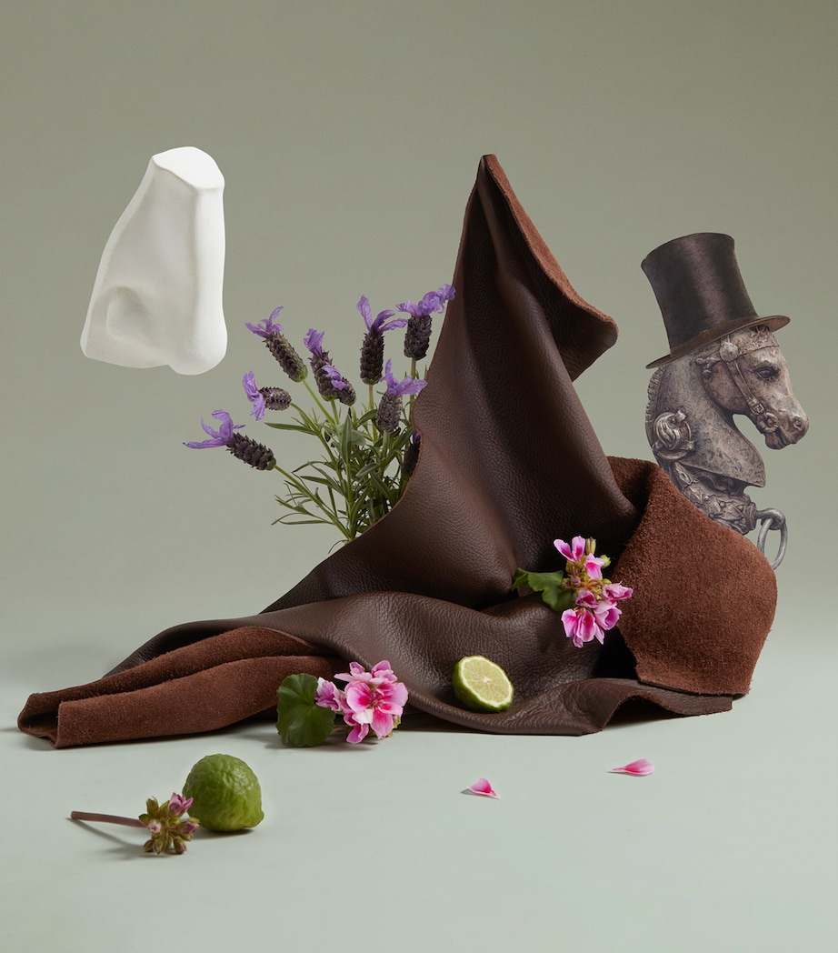 Endymion Concentrate Eau de Parfum (100ml) NO COLOUR Image 4