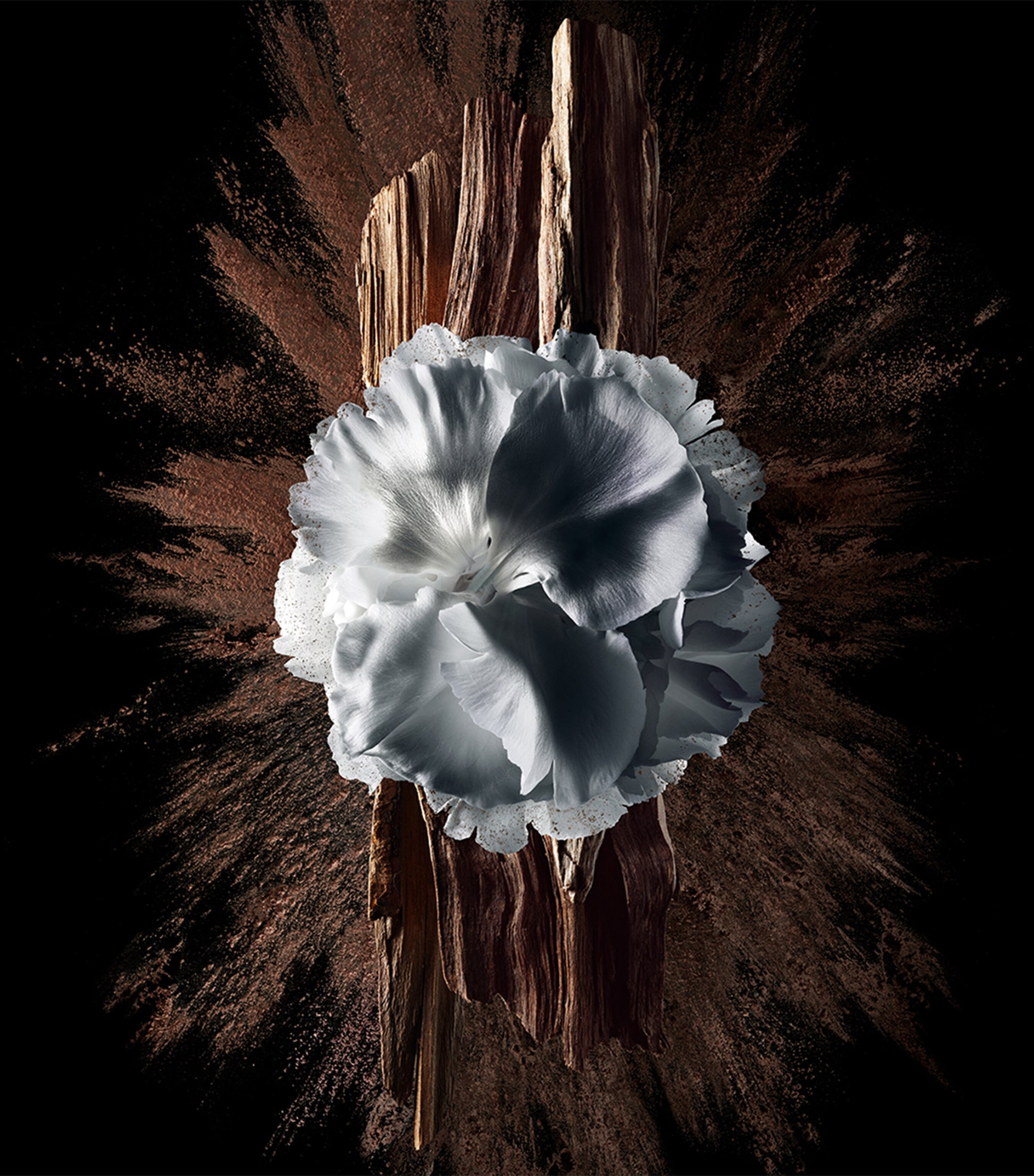 Gentleman Society Eau de Parfum Extrême (100ml) NO COLOUR Image 4