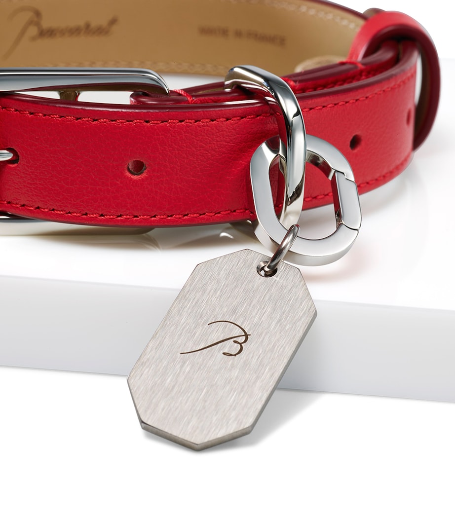 Leather Louxor Pet Collar (Large) CLEAR Image 2