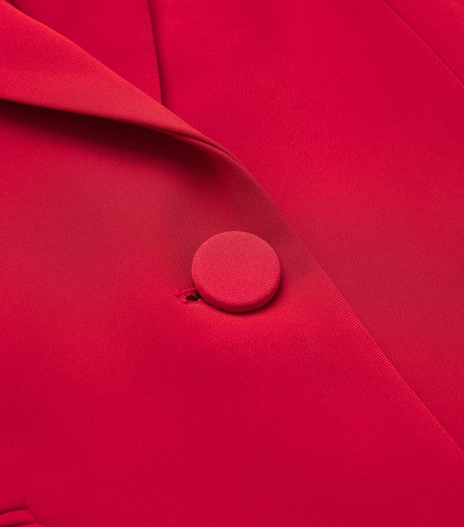 Long and Lean Dickey Blazer R0023 CRIMSON Image 5