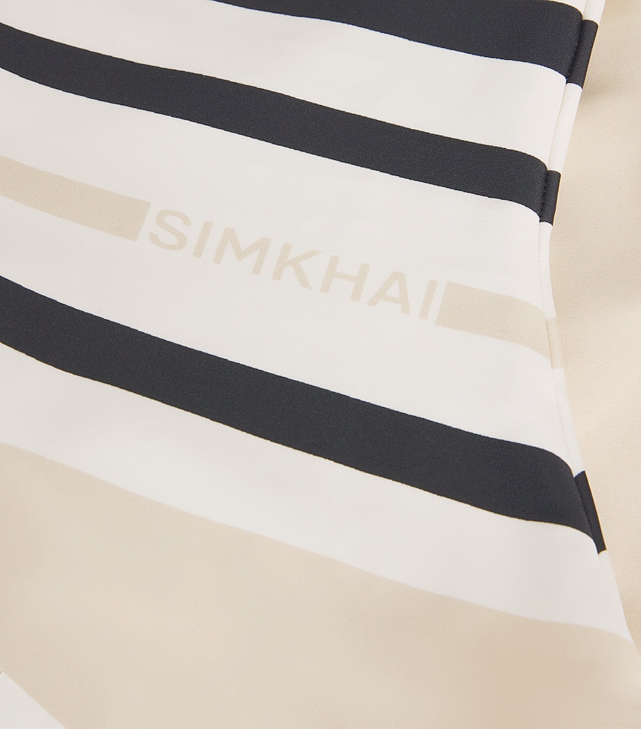 Stripe Walker Swimsuit SAND STRIPE Image 4