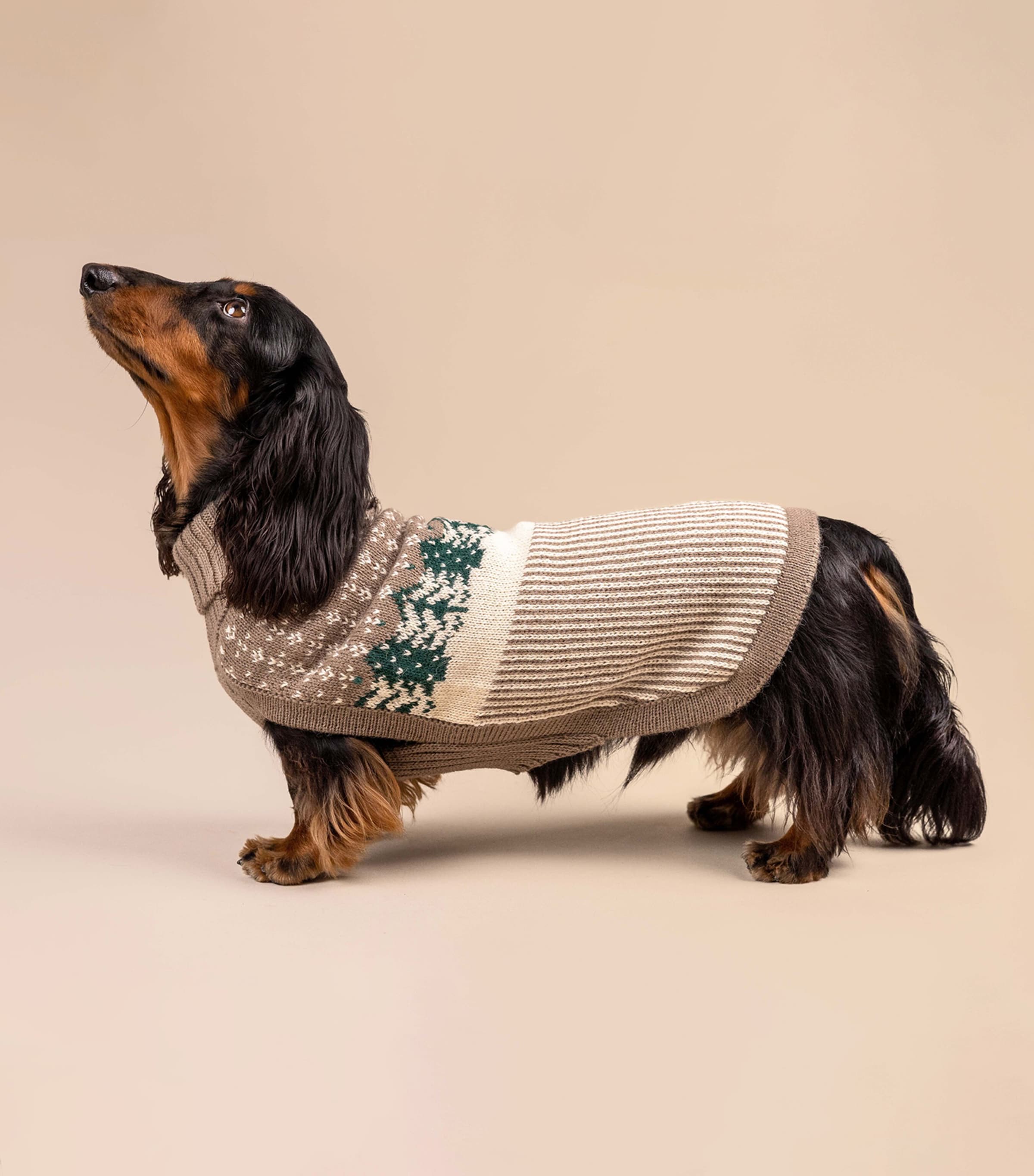 ALQO WASI Alpaca-Blend Frosted Grove Dog Sweater (X-Small) Frosted Grove Image 2