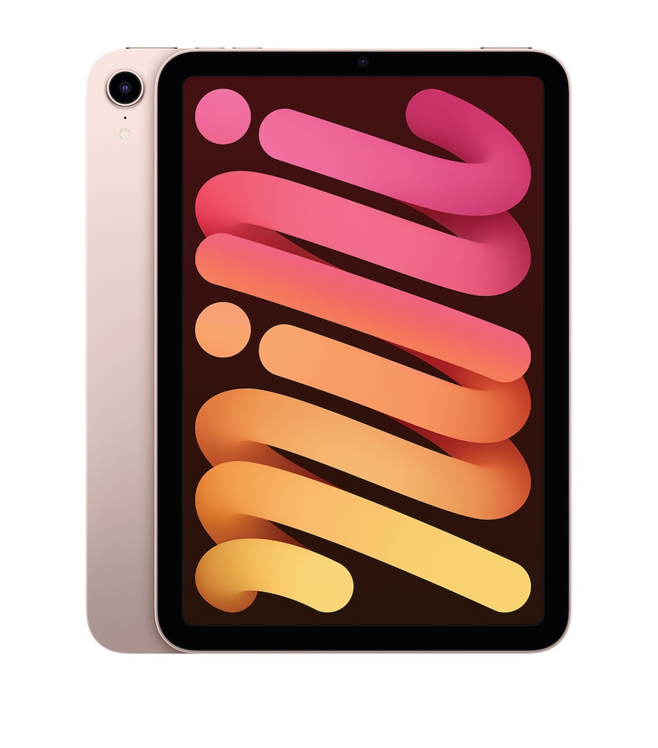 iPad Mini 8.3" Wi-Fi 256GB - Pink PINK Image 1