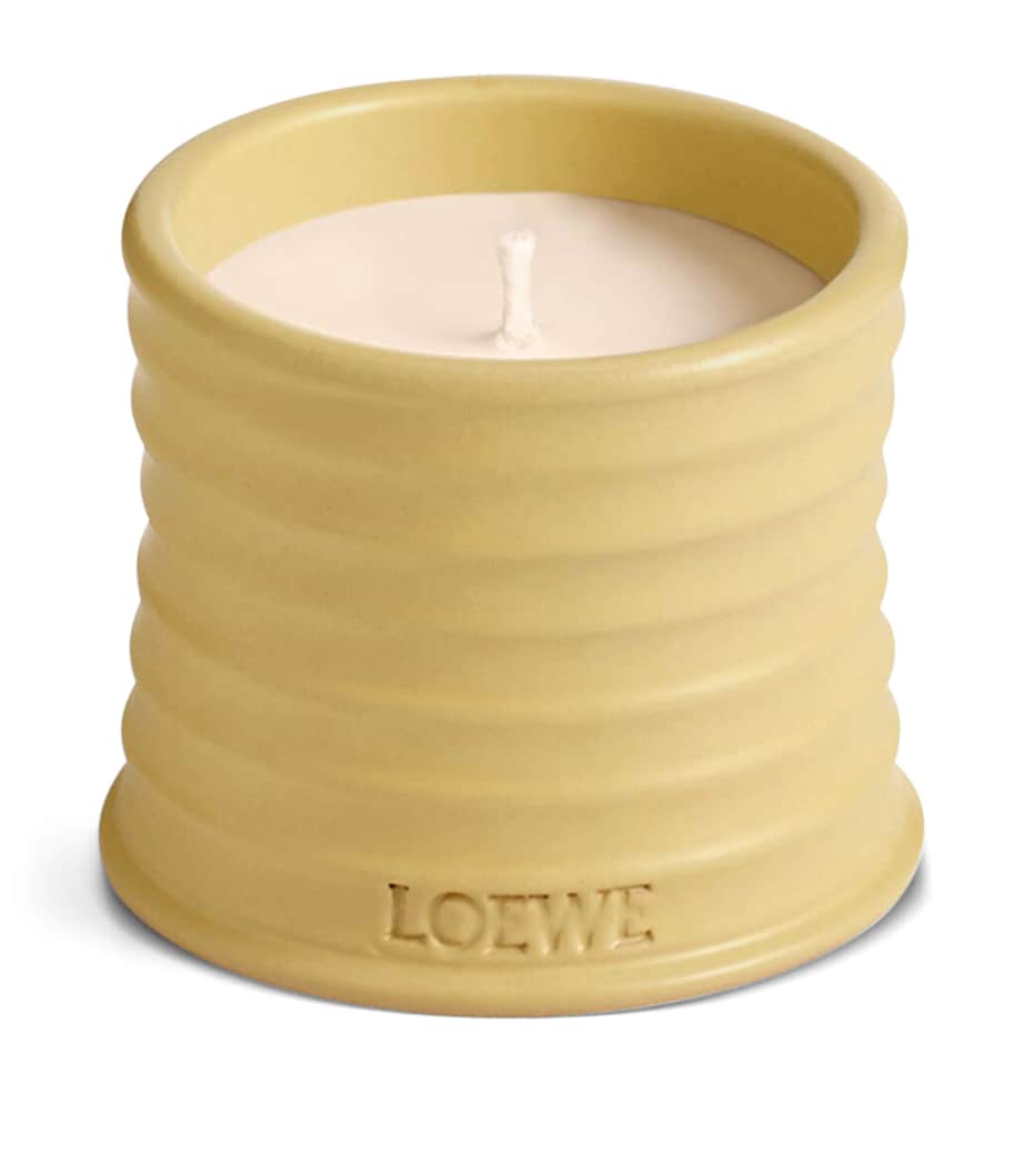 Small Honeysuckle Scented Candle NO COLOUR Image 1
