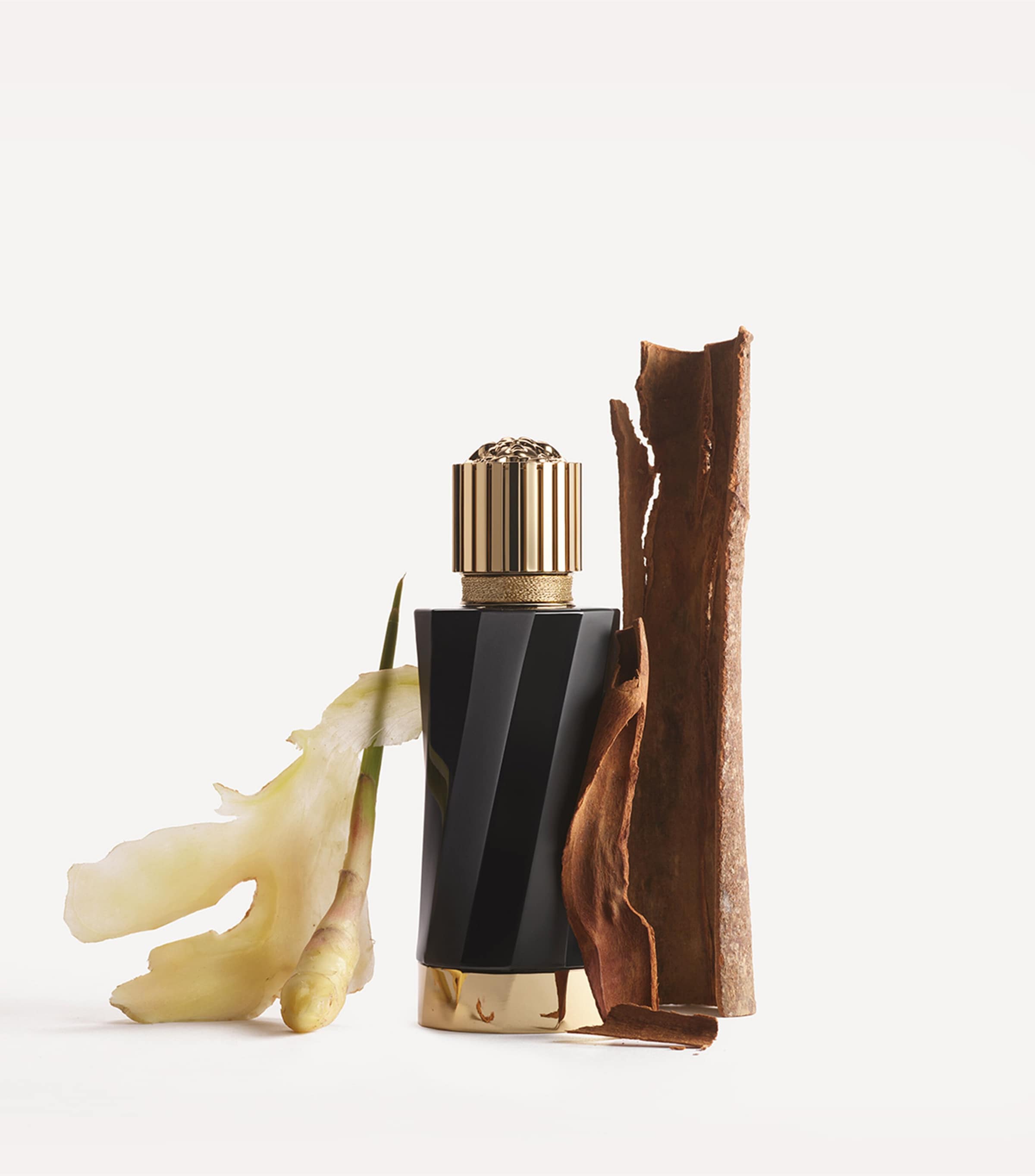 Versace Atelier Collection Gingembre Pétillant Eau de Parfum