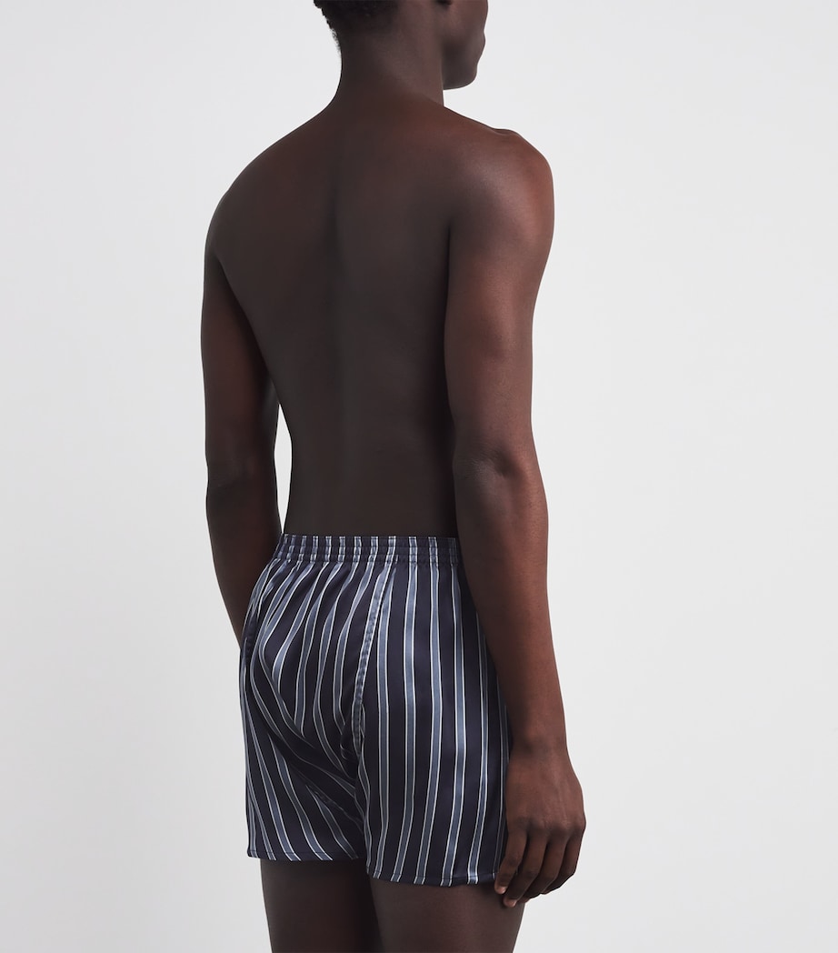 Silk Stripe Traditional Boxer Shorts 123NAV Image 3