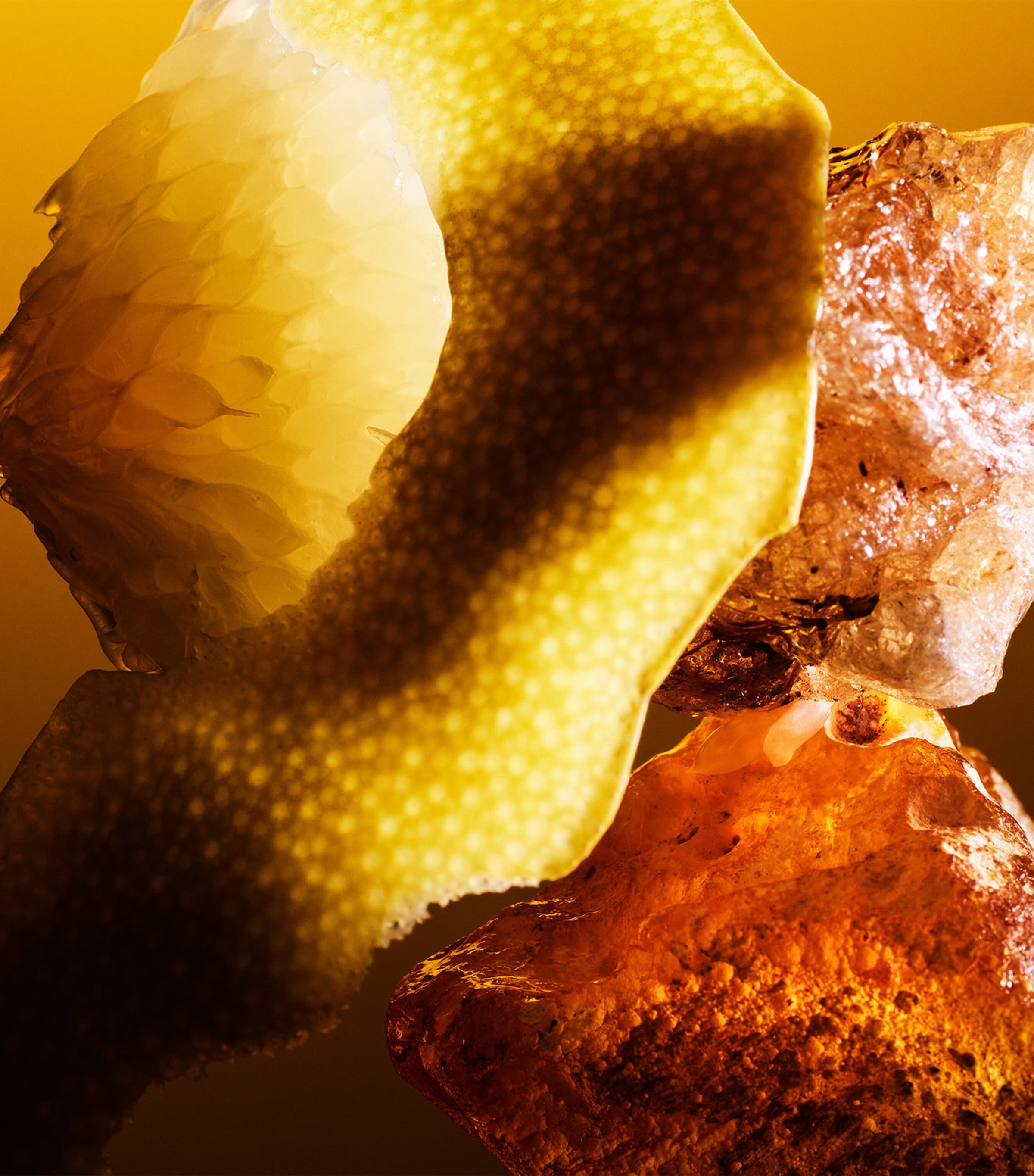 Le Gemme Tygar Extrait (60ml) NO COLOUR Image 3