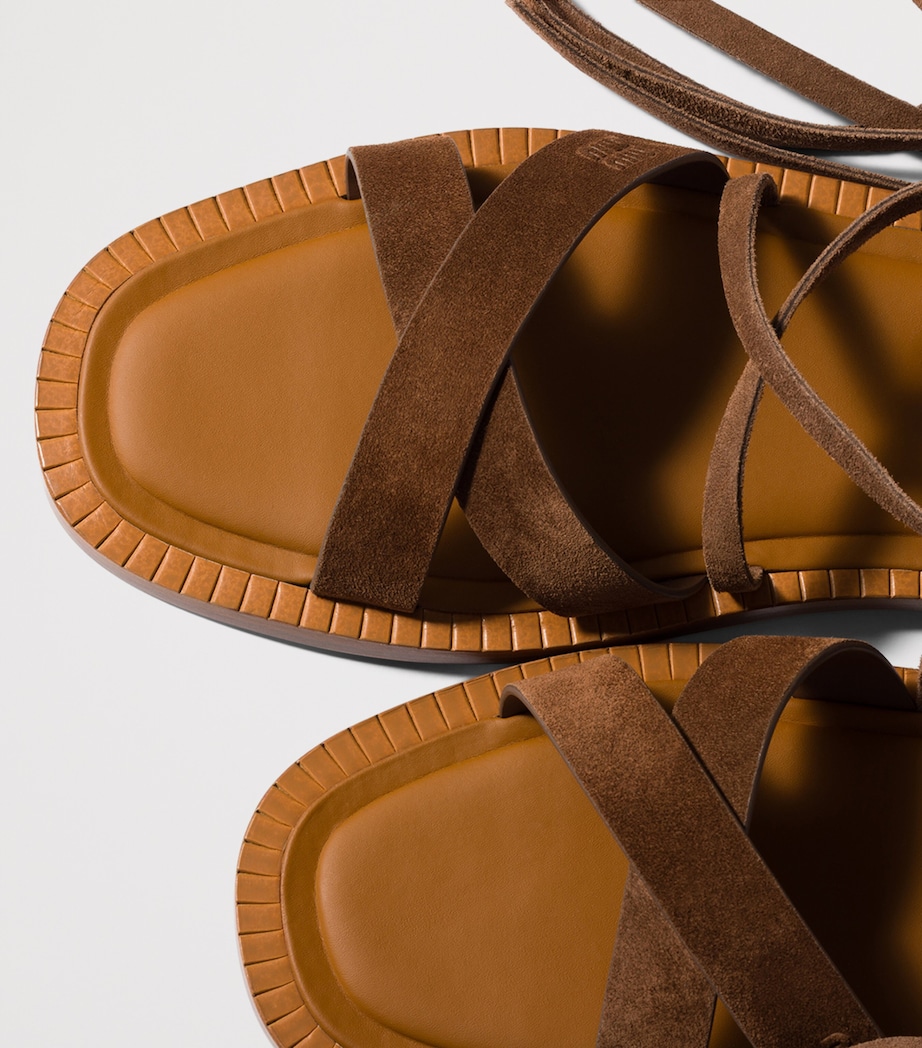 Miu Miu Suede Gladiator Sandals Brown Image 4