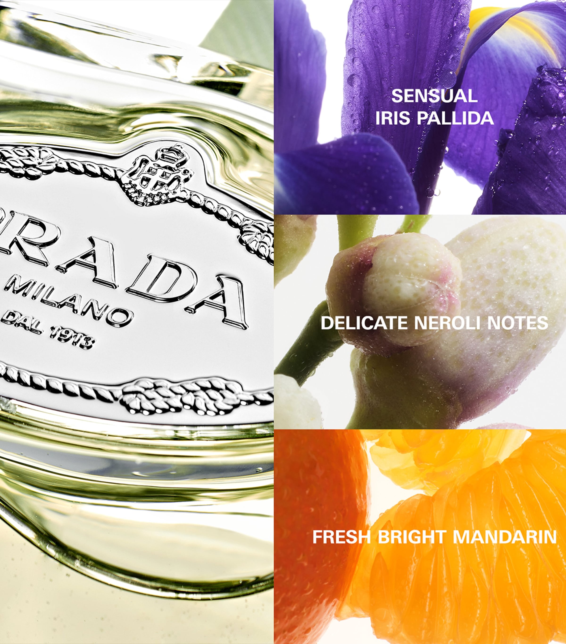 Infusion d'Iris Eau de Parfum (100ml) NO COLOUR Image 3