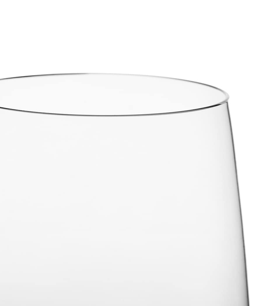 The Conran Shop Set of 4 Grove Champagne Flutes Glass Image 4