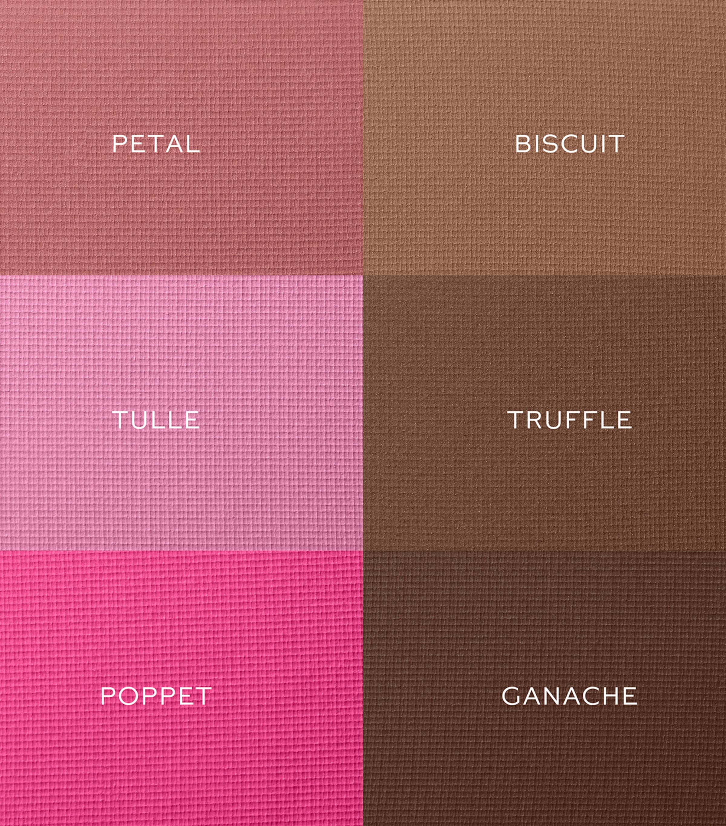 The Powder Duos Blush PETAL & BISCUIT Image 4