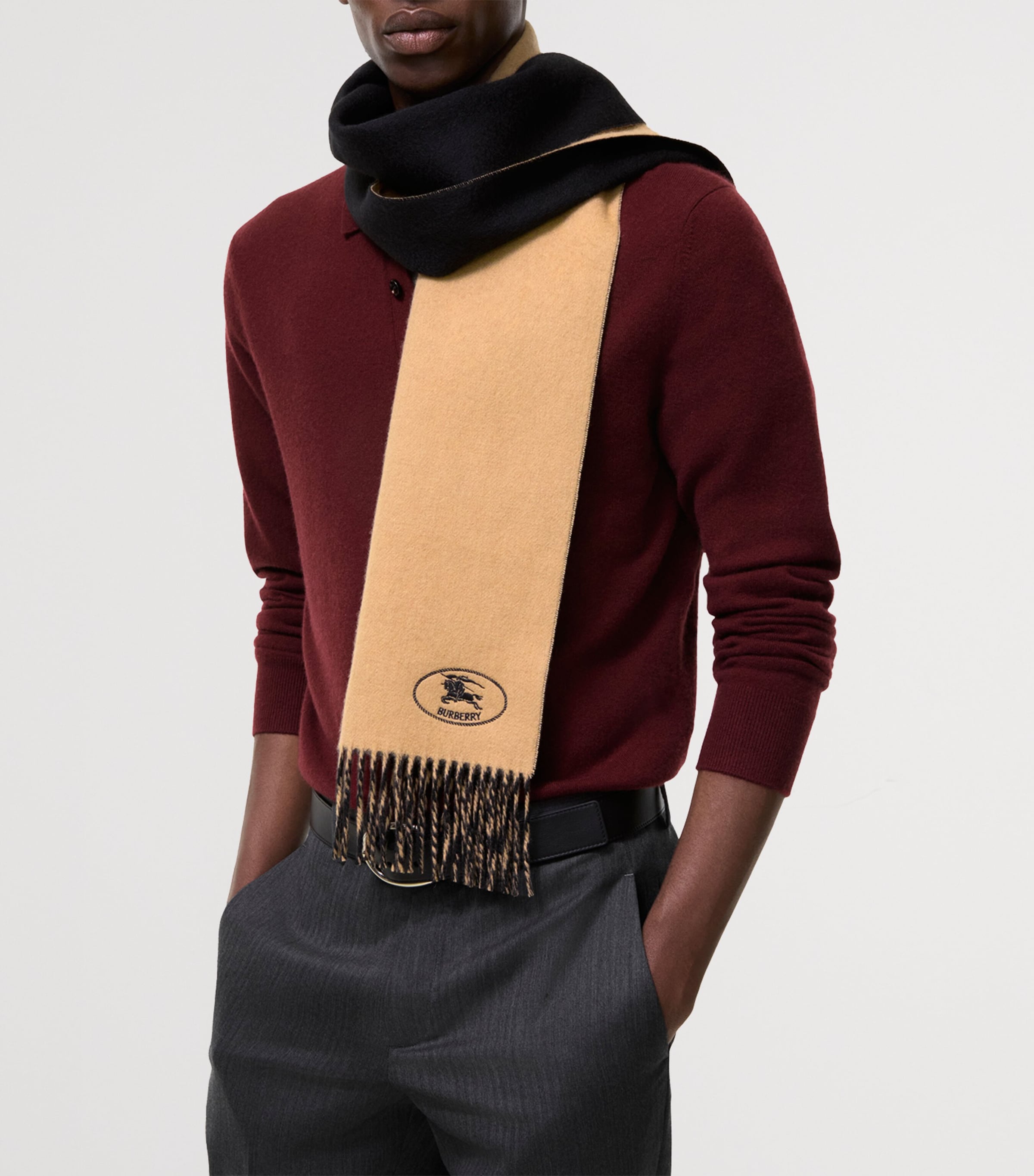Burberry Cashmere Reversible Scarf Camel/black Image 4