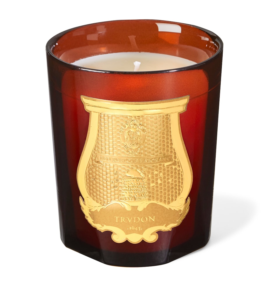 Cire Candle (270g) AMBER Image 2