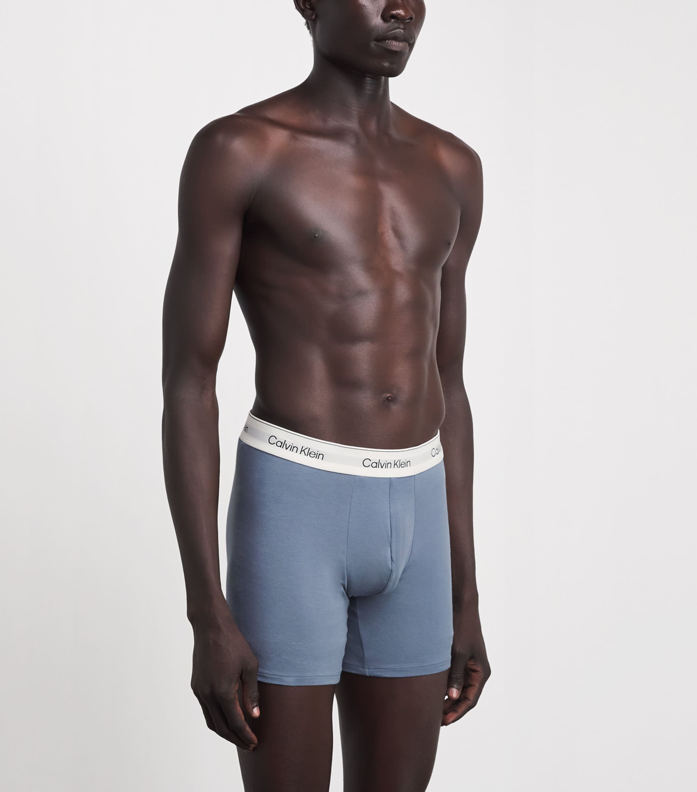 Calvin Klein Mens Stretch-Cotton Icon Boxer Briefs (Pack of 3) Adriatic Royal Image 2