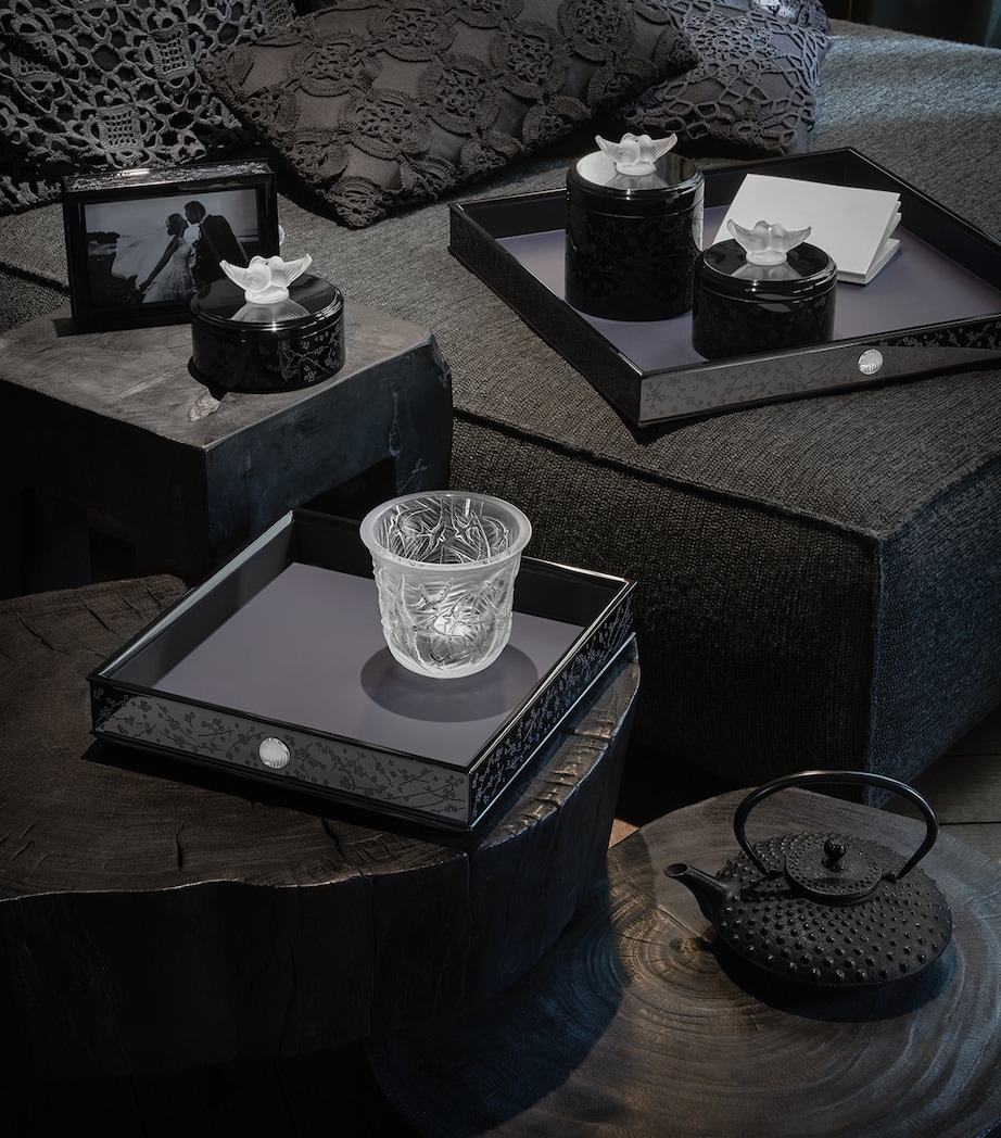 Fleurs de Cerisier Box INCOLORE Image 2