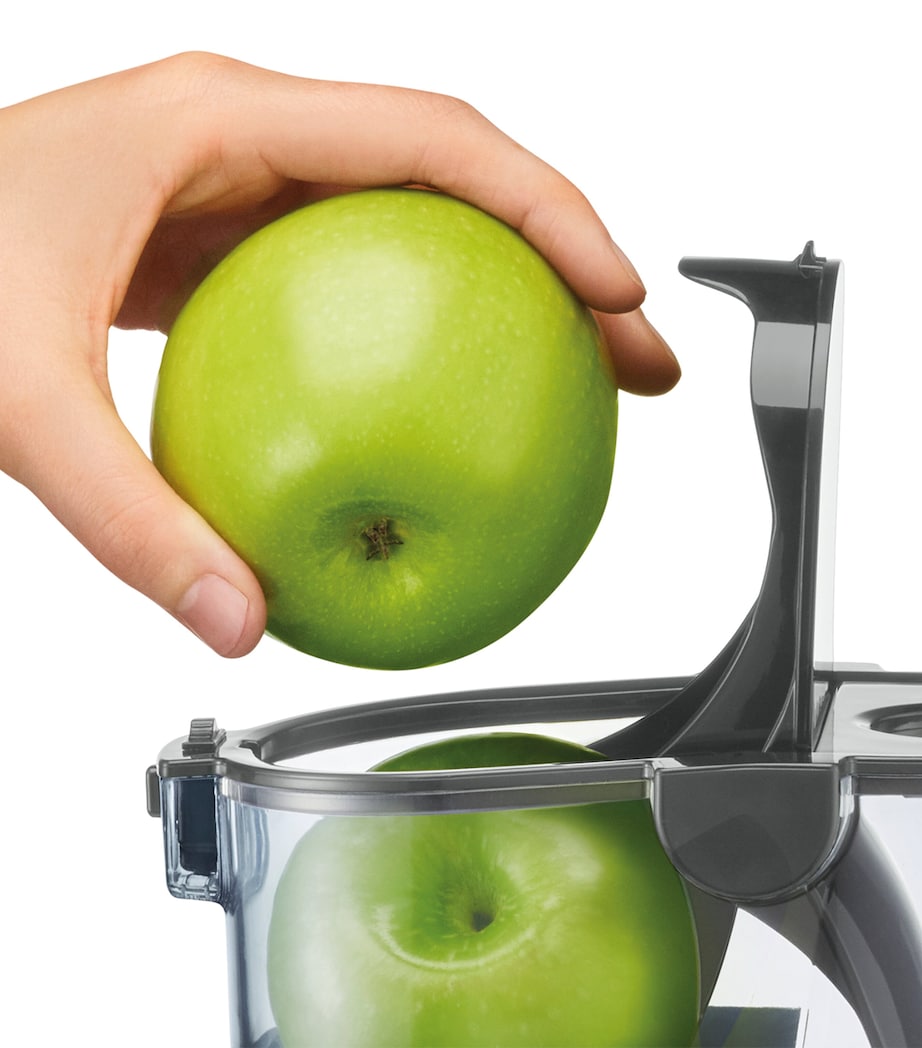 The Big Squeeze Juicer METALLIC Image 2