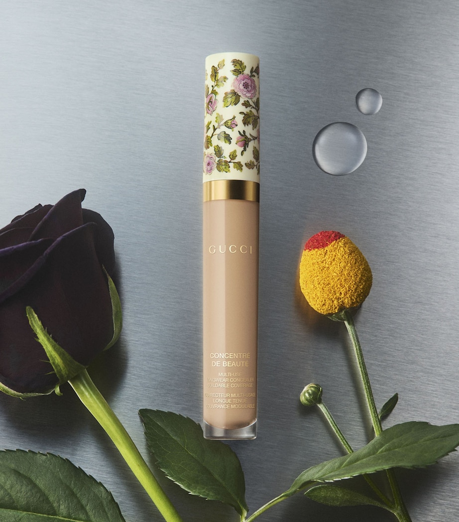 Concentré De Beauté Liquid Concealer 57W Image 6