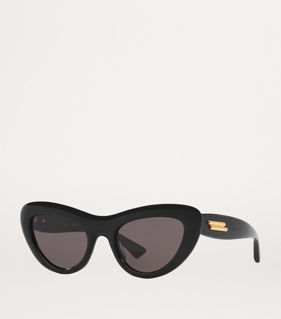 Cat Eye Sunglasses 1100L1 Image 2