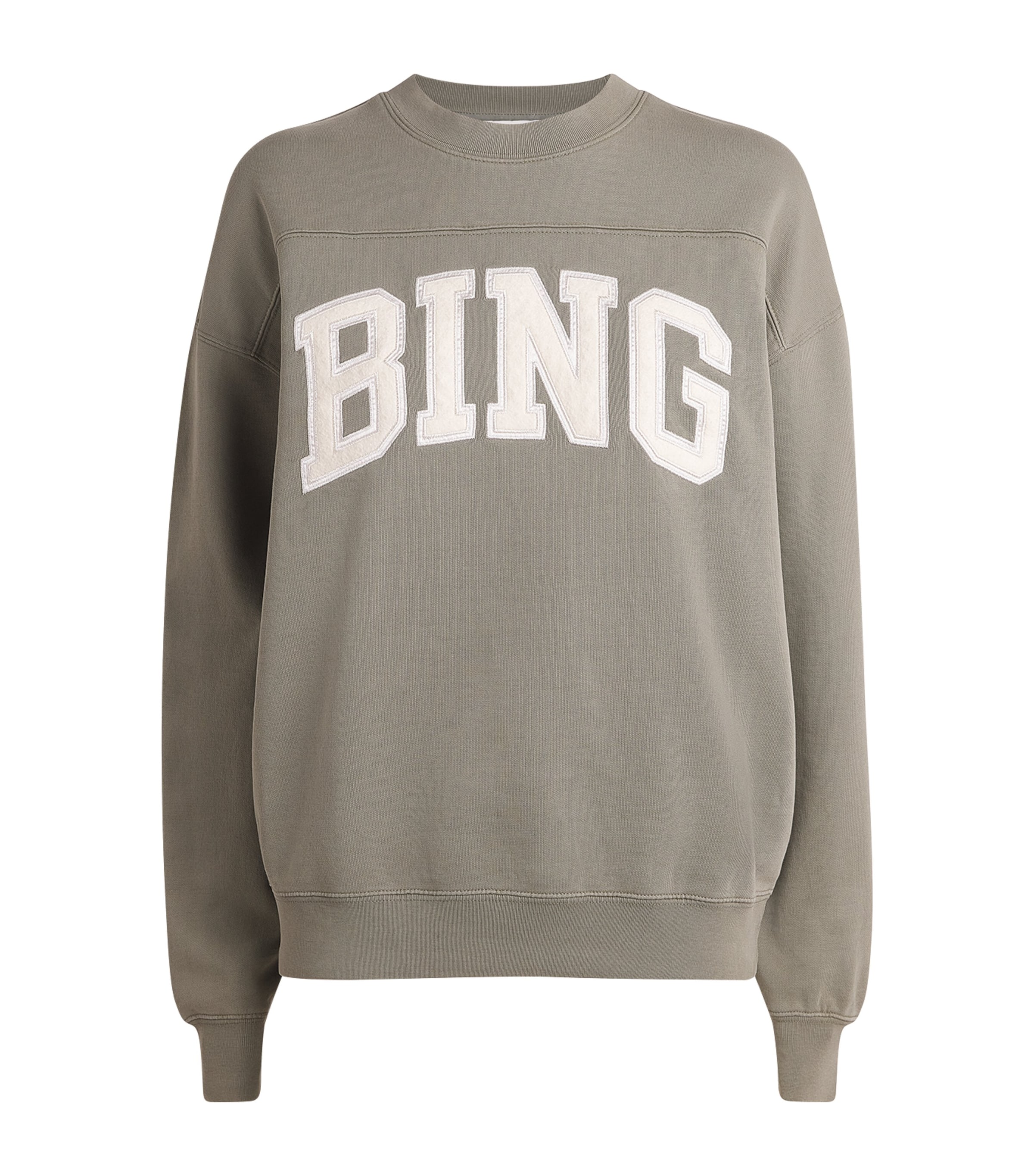 Anine Bing Cotton Trenton Logo Sweatshirt In Green