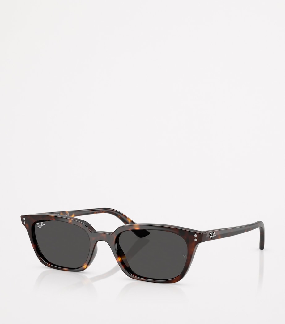 RB4456 Zaya Bio-Based Sunglasses 135987 Image 2