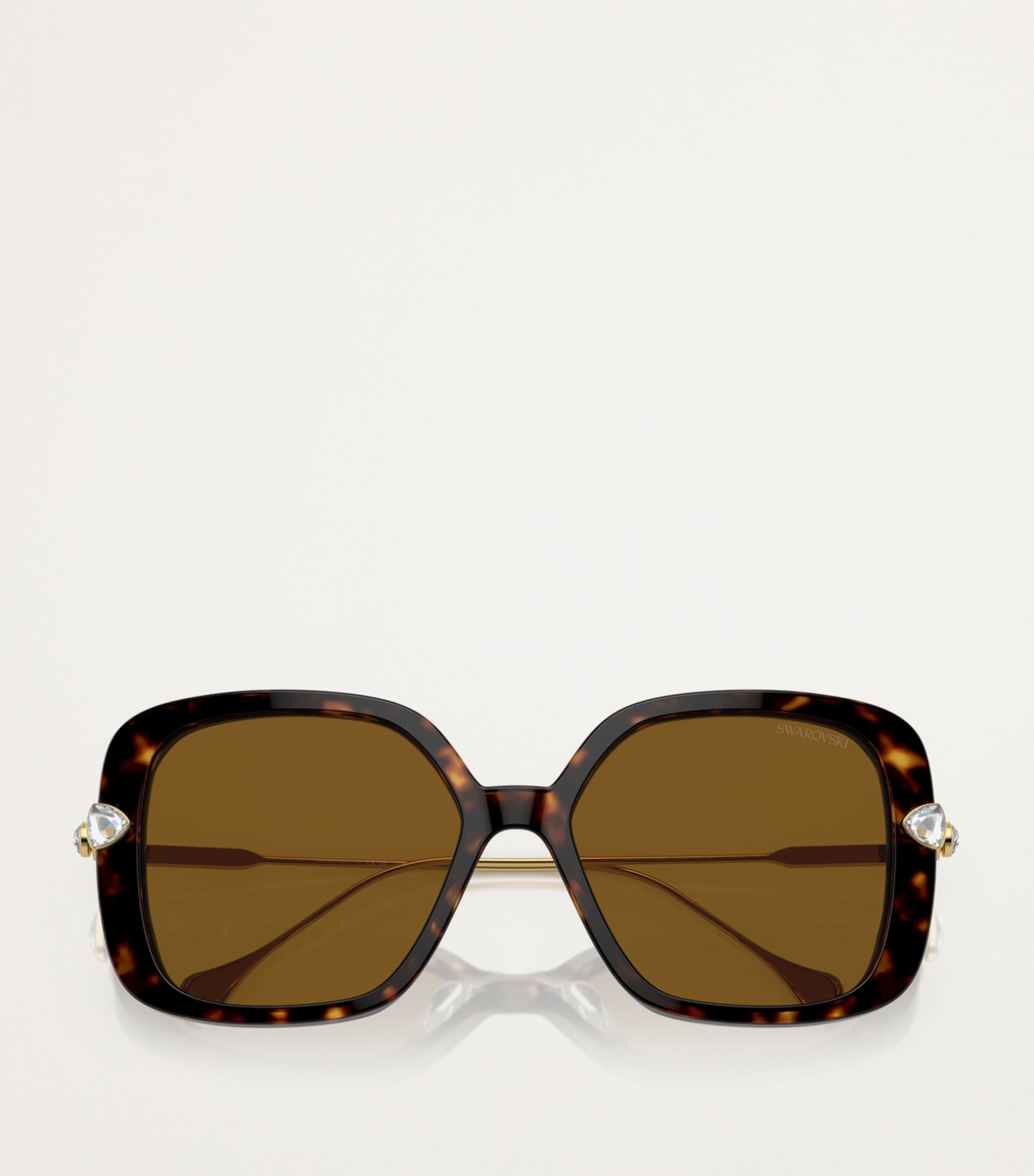 Oversized SK6011 Sunglasses 100283 Image 3