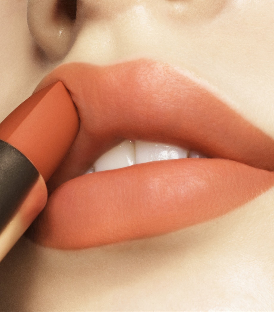 Sheer Matte Lipstick 05 MANDARIN BROWN Image 3