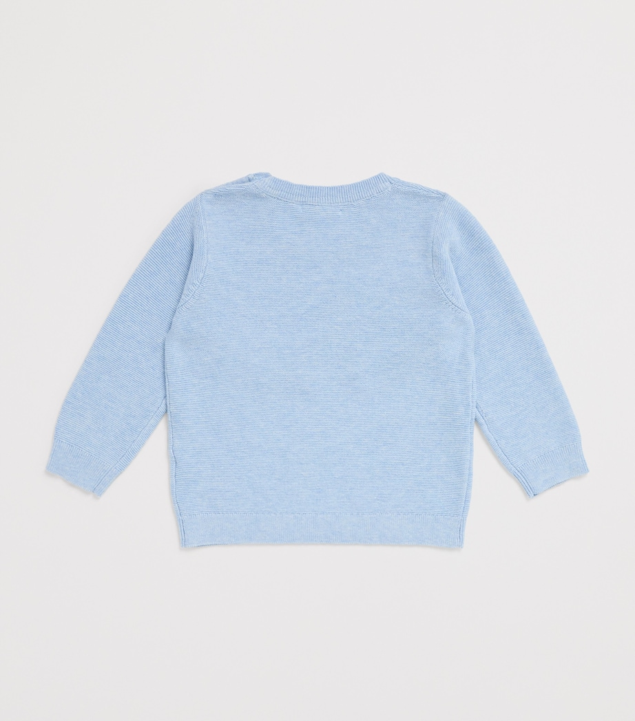 Organic Cotton-Wool Dog Sweater (0-18 Months) COUNTRY AIR MELANGE Image 2