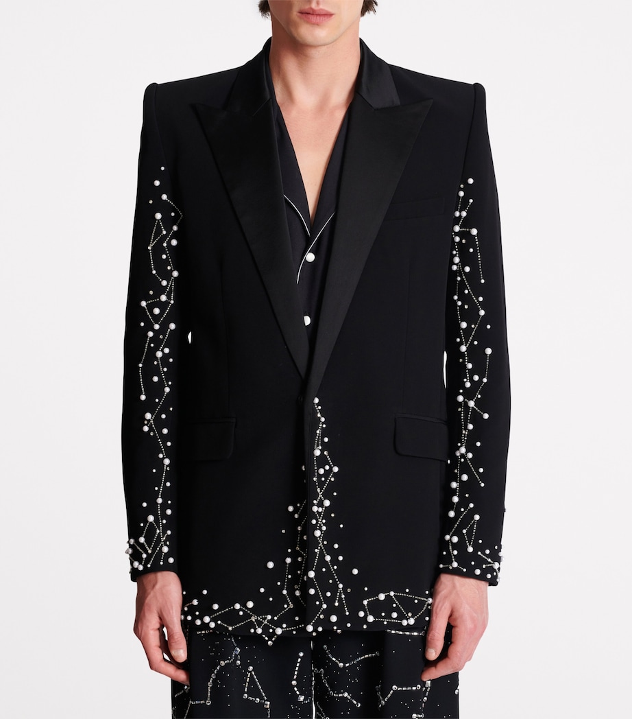 Embroidered Single-Breasted Blazer EAW NOIR/CRISTAL Image 5