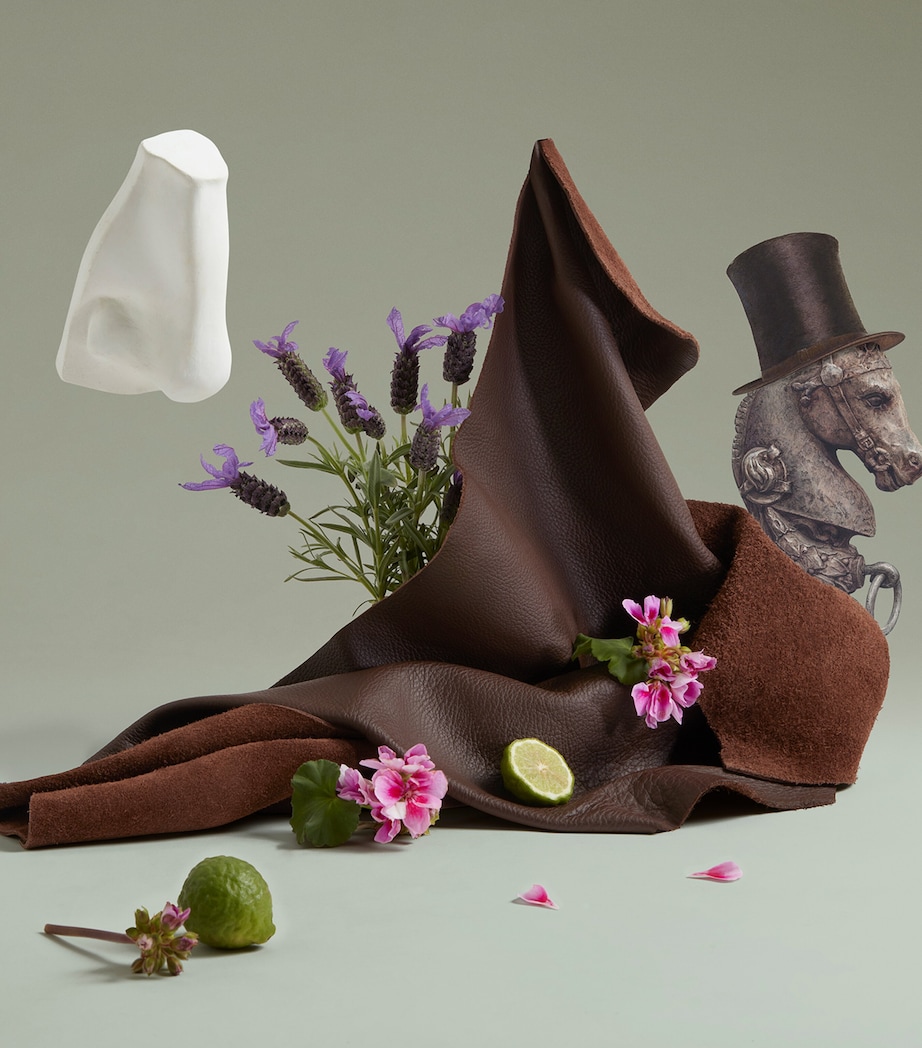 Endymion Concentré Eau de Parfum (30ml) NO COLOUR Image 4