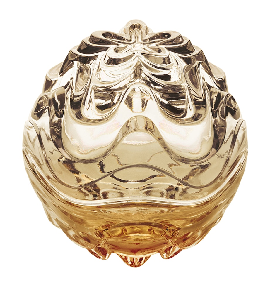 Crystal Vibration Box INCOLORE Image 2