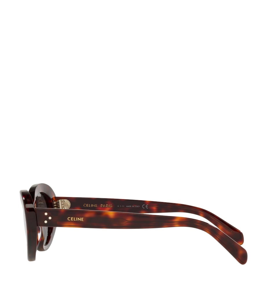 Celine Acetate CL40193I Sunglasses Image 3