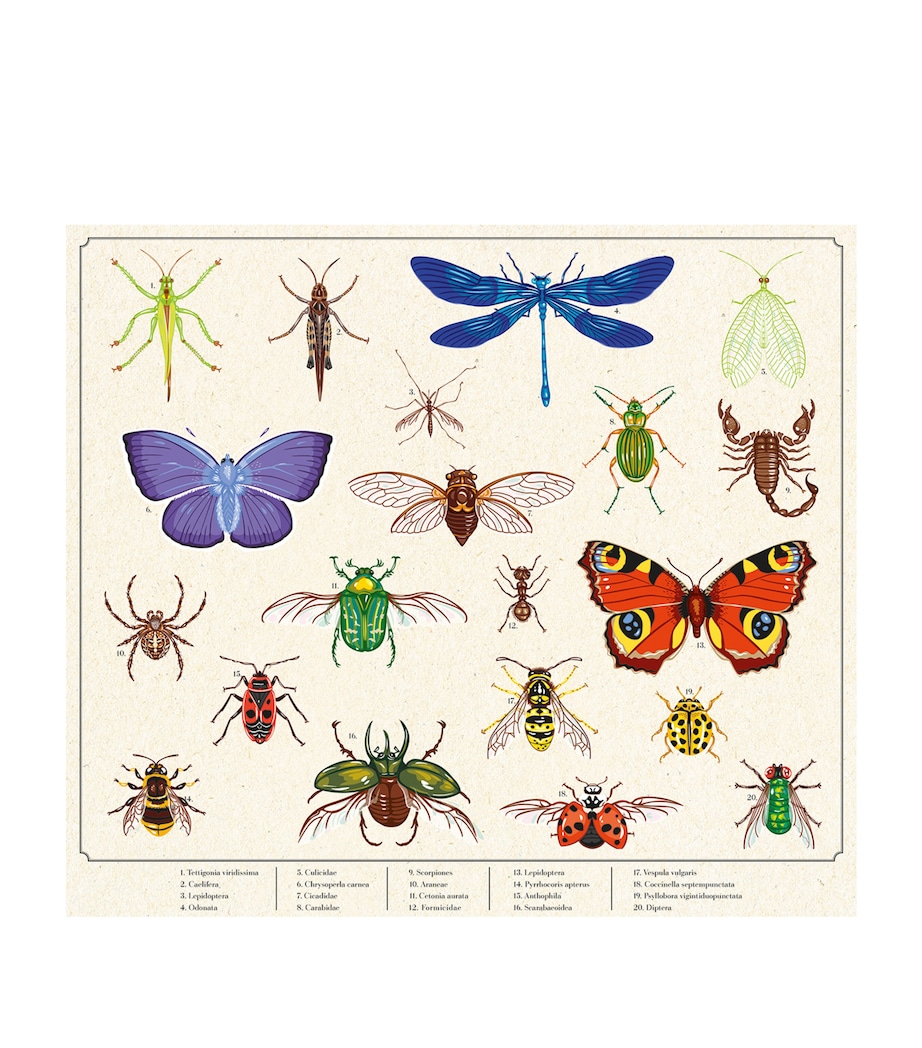 Garden Explorer Case MULTI Image 6