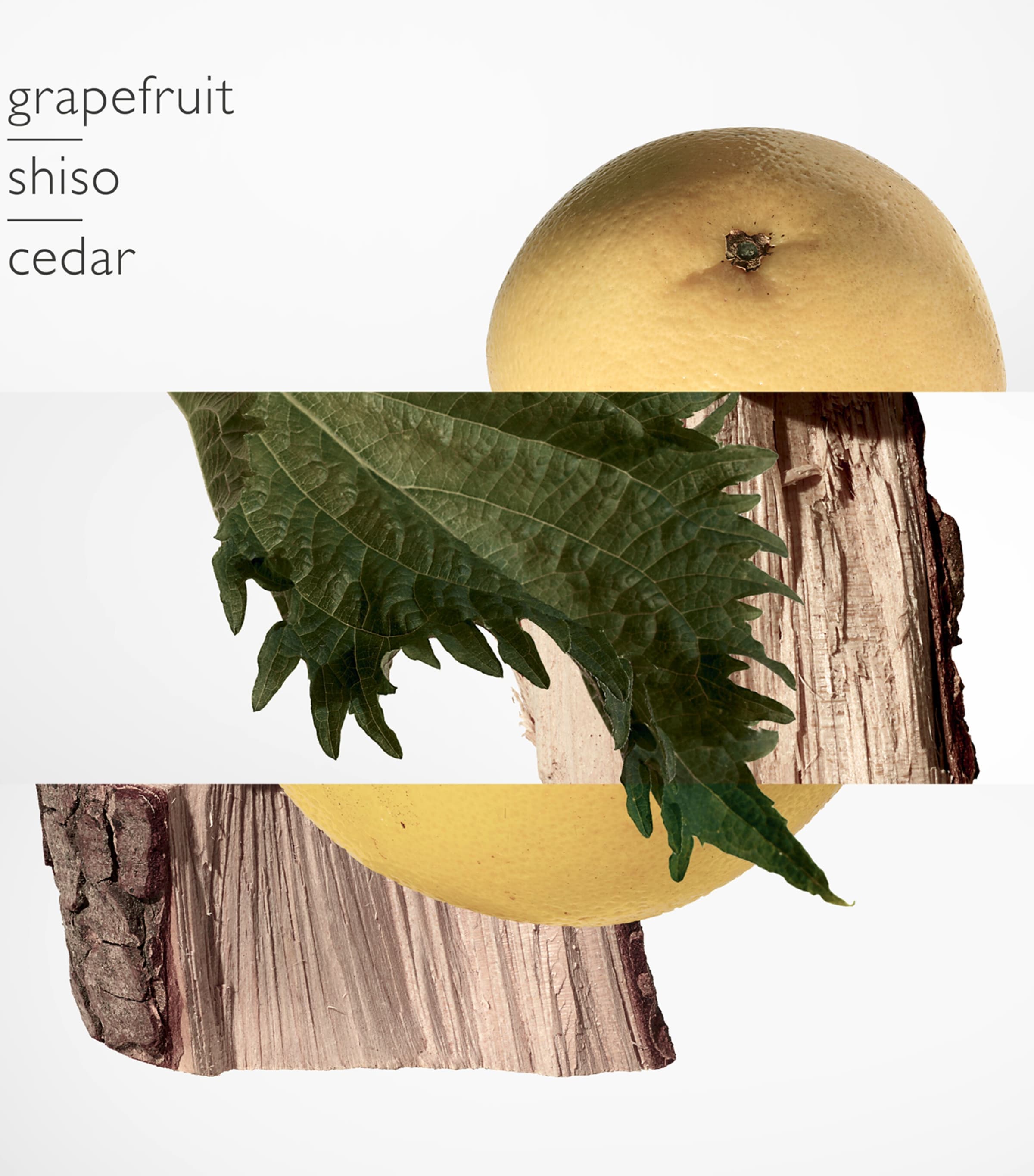 Terre d'Hermès Parfum (75ml) NO COLOUR Image 2