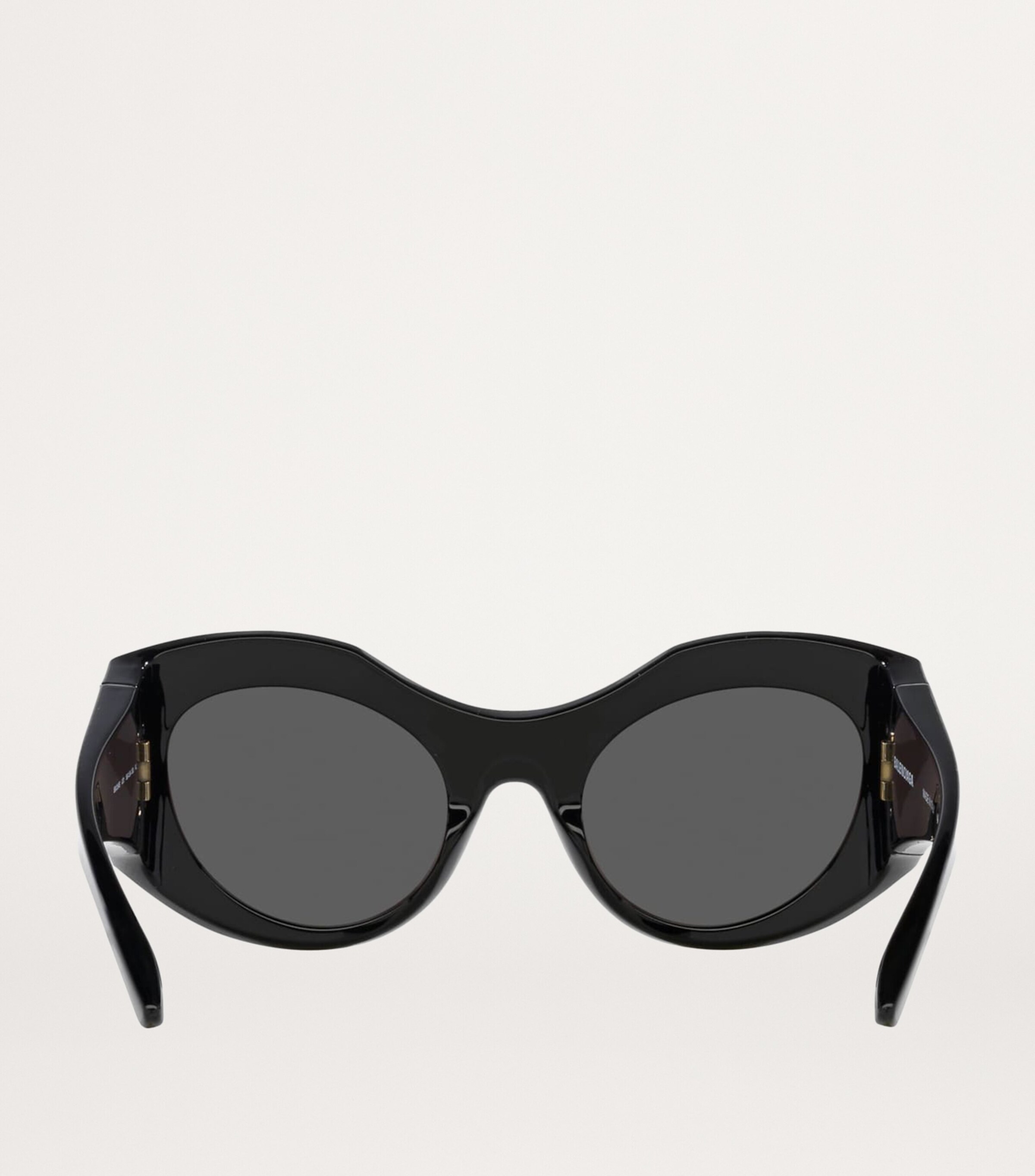 Injected 6E000286 Sunglasses 1100L1 Image 4