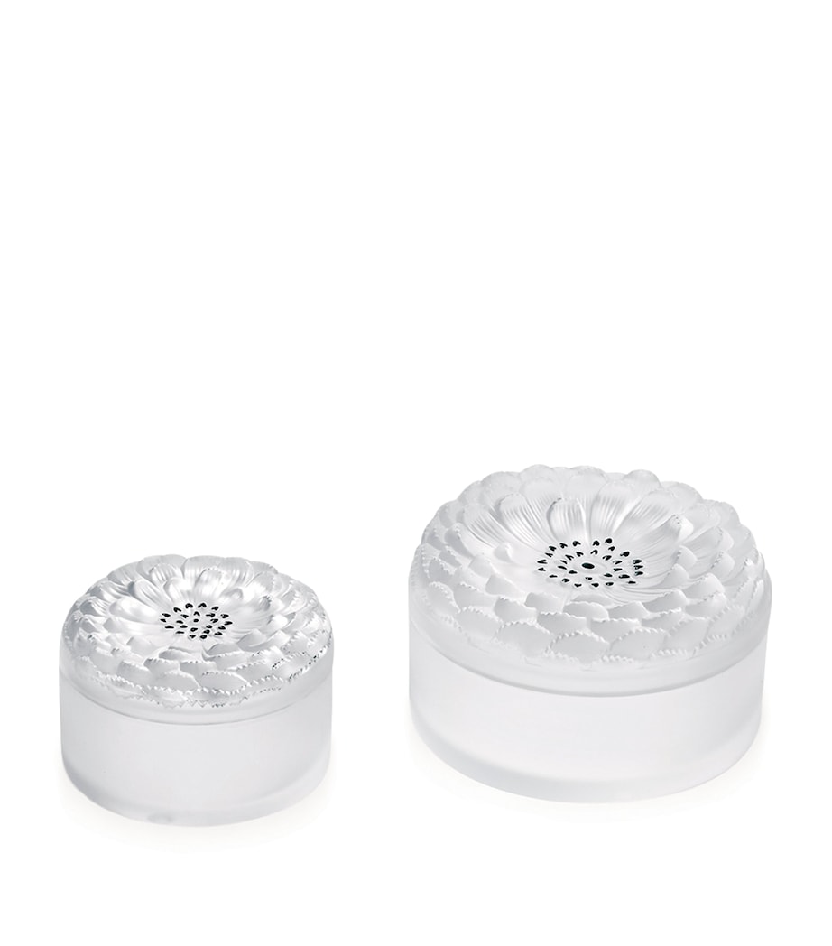 Crystal Dahlia Jewellery Box INCOLORE Image 1