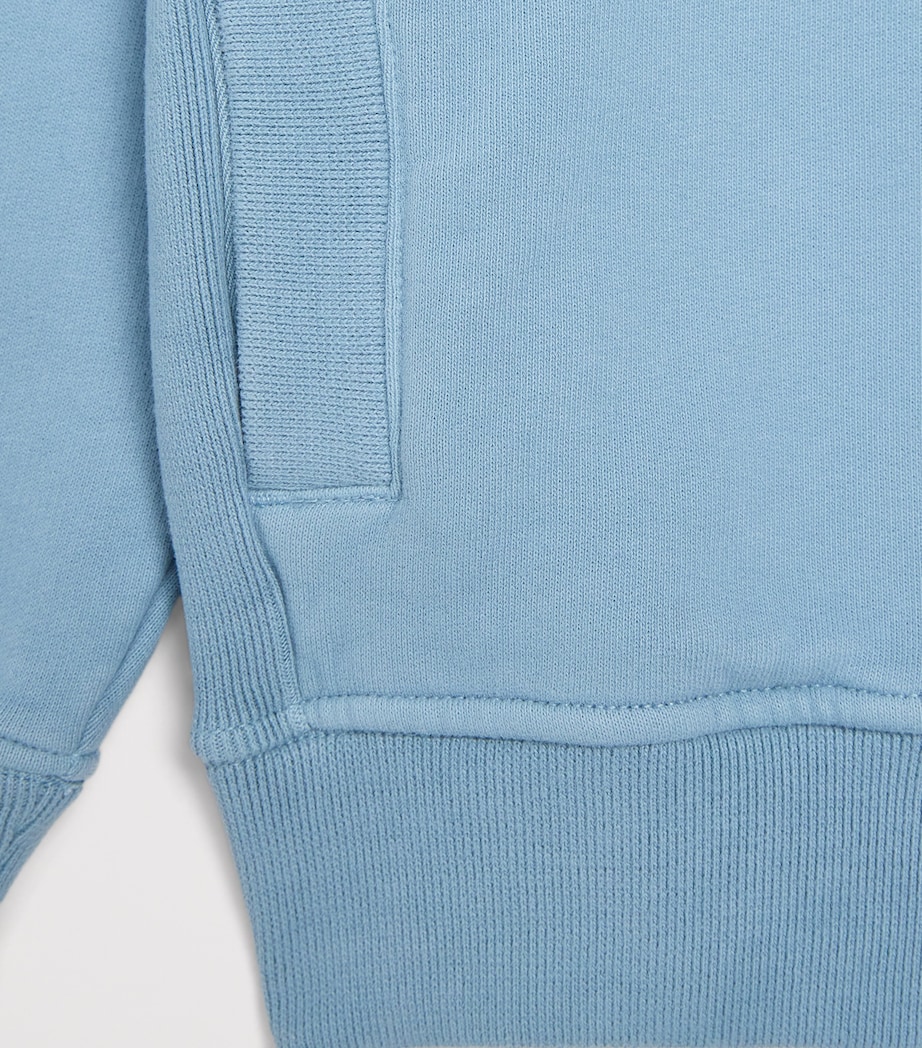 Cotton Logo Hoodie (4-14 Years) V004ASKY BLUE Image 3