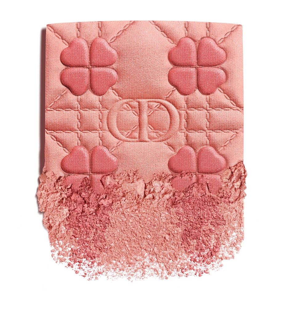 DIOR Limited Edition Rouge Blush Nude Image 2