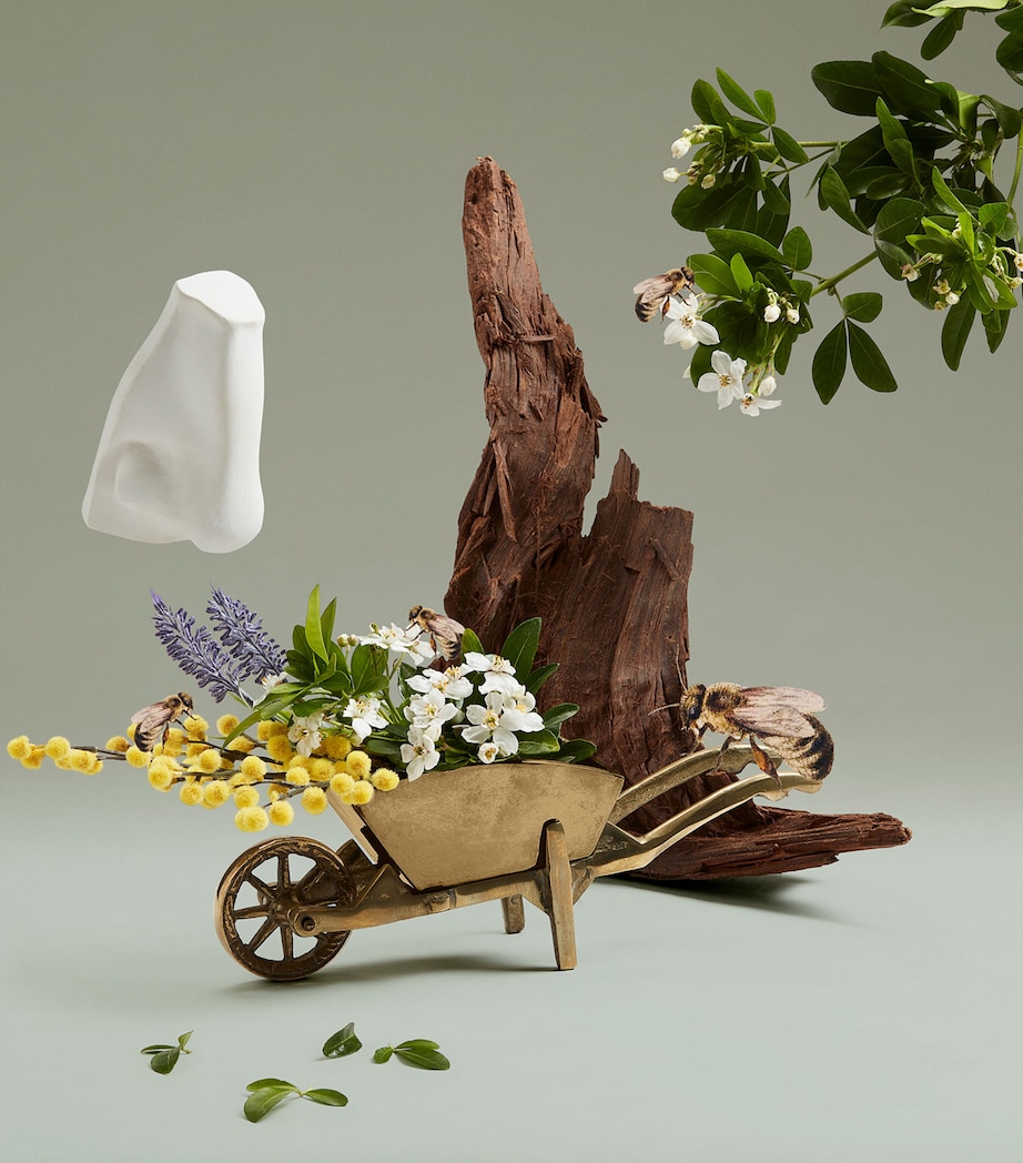 Highgrove Bouquet Body & Hand Lotion (500ml) NO COLOUR Image 3