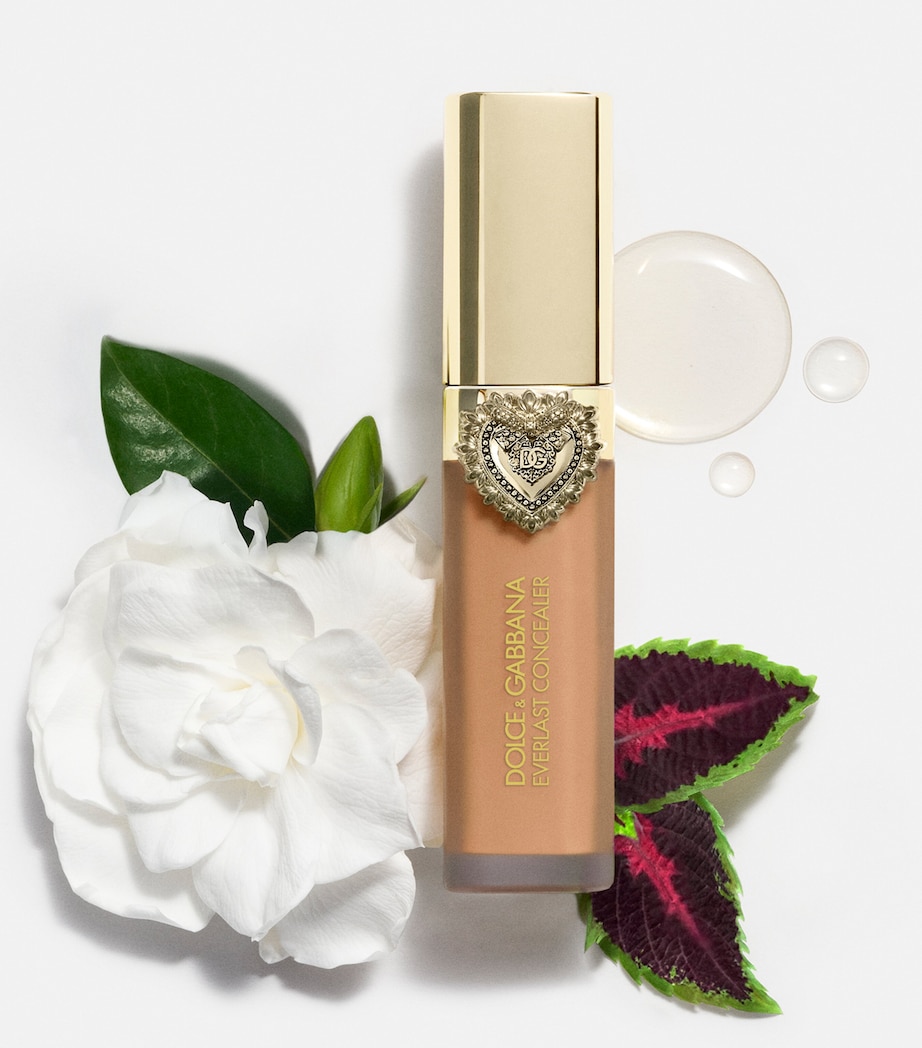 Everlast Concealer 27MEDIUM DEEP Image 7