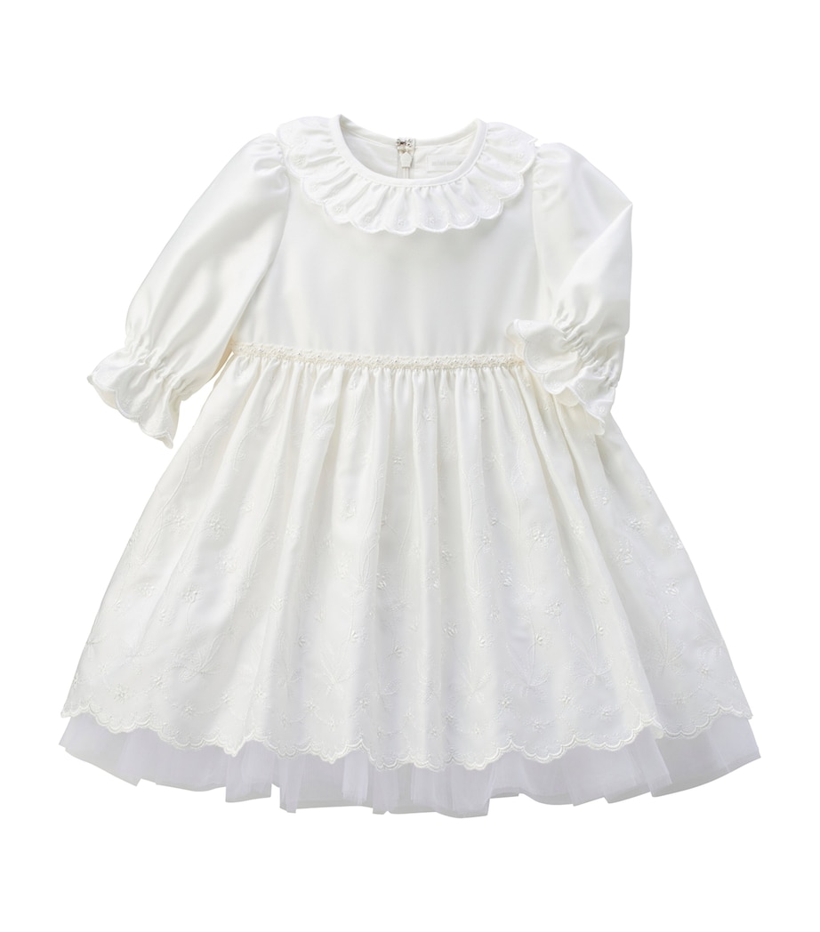 Embroidered Dress (2-5 Years) 1 Image 1