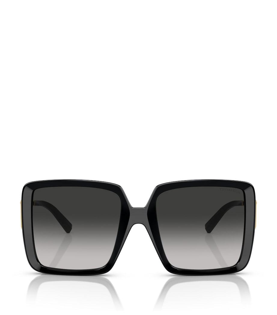 Injected Square Sunglasses 80013C Image 1